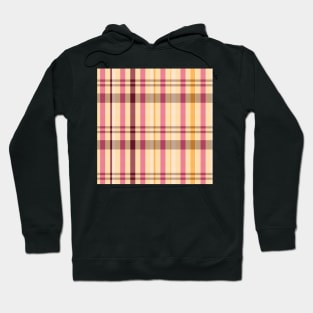 Summer Aesthetic Catriona 1 Hand Drawn Textured Plaid Pattern Hoodie